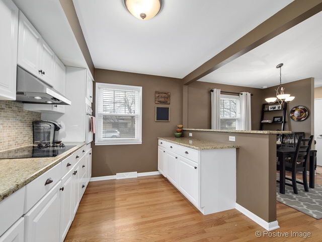 482 E Park Ave, Elmhurst, IL 60126 photo 10