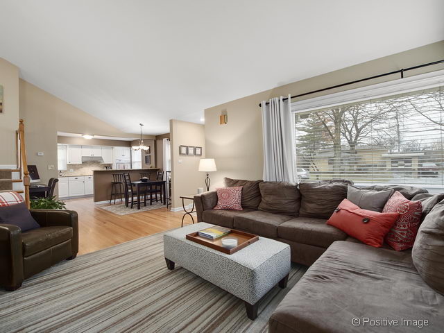 482 E Park Ave, Elmhurst, IL 60126 photo 5