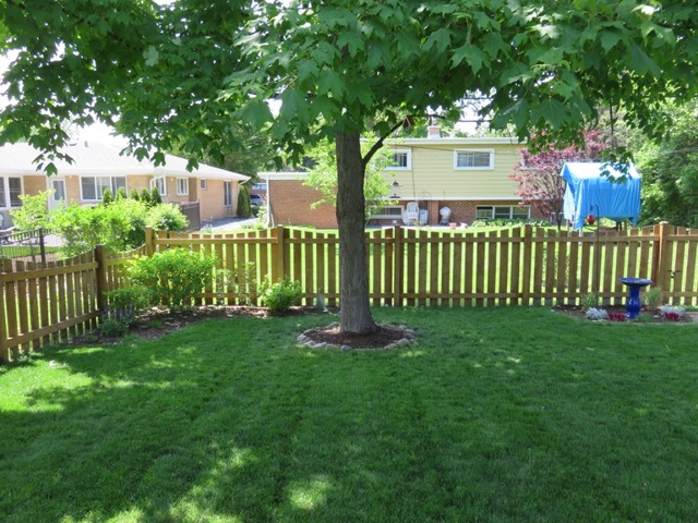 482 E Park Ave, Elmhurst, IL 60126 photo 24