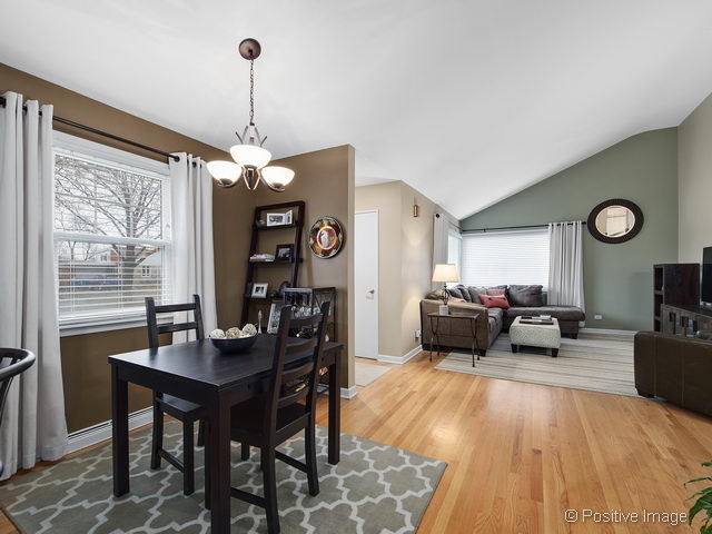 482 E Park Ave, Elmhurst, IL 60126 photo 8