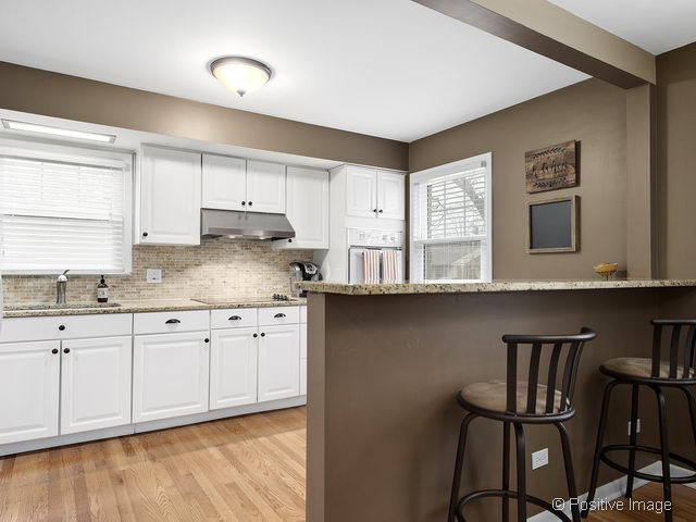 482 E Park Ave, Elmhurst, IL 60126 photo 9