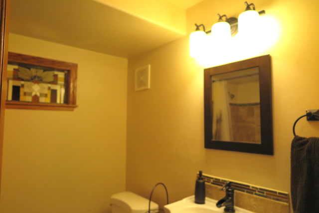 24103 Simo Dr, Plainfield, IL 60586 photo 17