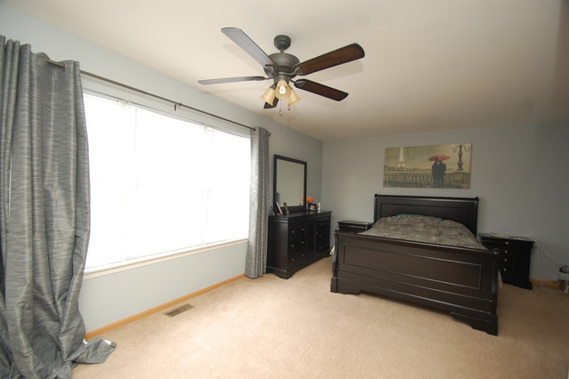 2719 Hoffman St, Plano, IL 60545 photo 10