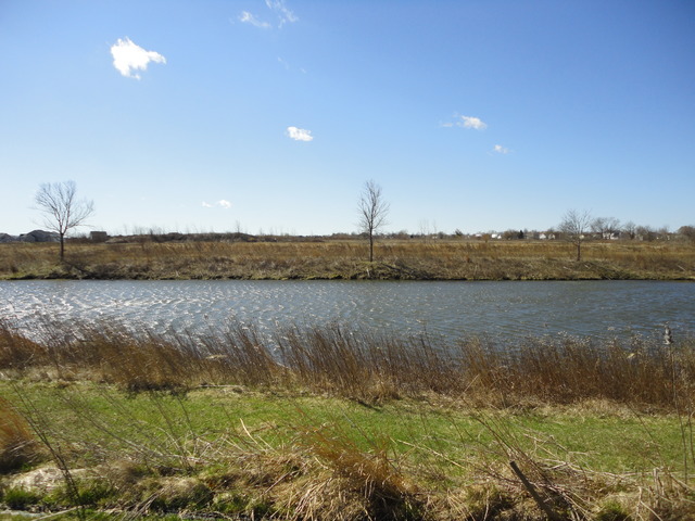 25424 W Rock Dr, Plainfield, IL 60586 photo 2