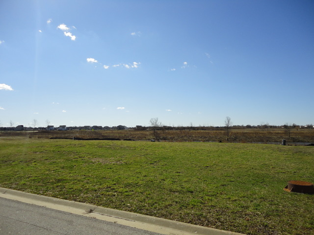 25424 W Rock Dr, Plainfield, IL 60586 photo 6