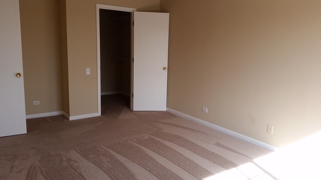 439 Valley Forge Ct, Aurora, IL 60504 photo 11