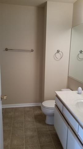 439 Valley Forge Ct, Aurora, IL 60504 photo 8