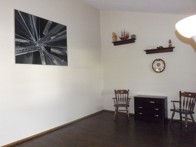 935 Fox Run Ln, Algonquin, IL 60102 photo 3
