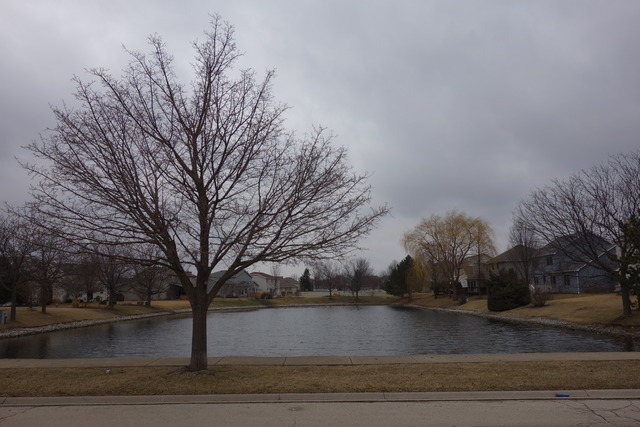 5112 Bedford Dr, Plainfield, IL 60586 photo 13