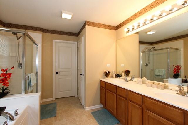 5 Steiner Ct, Algonquin, IL 60102 photo 13