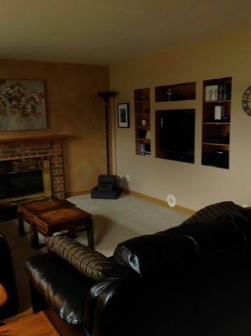 923 La Jolla Ter, Bartlett, IL 60103 photo 17