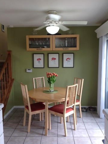 923 La Jolla Ter, Bartlett, IL 60103 photo 6