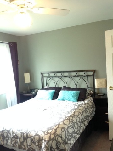 923 La Jolla Ter, Bartlett, IL 60103 photo 10