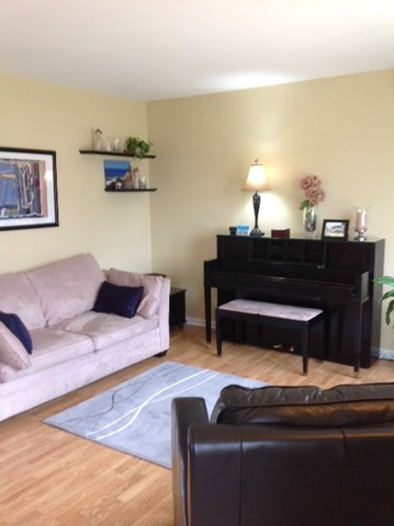 923 La Jolla Ter, Bartlett, IL 60103 photo 3
