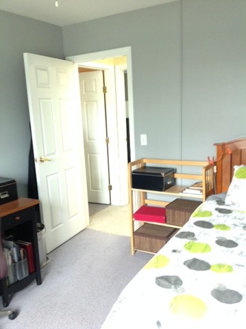 923 La Jolla Ter, Bartlett, IL 60103 photo 14