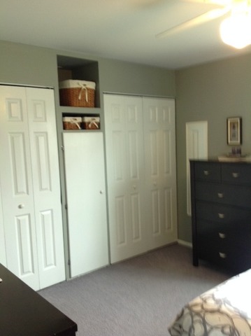 923 La Jolla Ter, Bartlett, IL 60103 photo 11