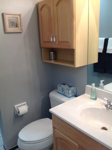 923 La Jolla Ter, Bartlett, IL 60103 photo 9