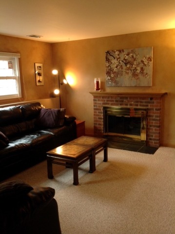 923 La Jolla Ter, Bartlett, IL 60103 photo 16