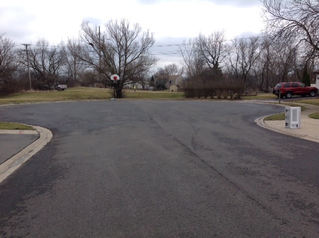 923 La Jolla Ter, Bartlett, IL 60103 photo 2