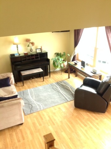 923 La Jolla Ter, Bartlett, IL 60103 photo 15