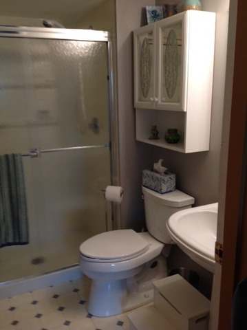 923 La Jolla Ter, Bartlett, IL 60103 photo 19