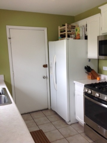 923 La Jolla Ter, Bartlett, IL 60103 photo 5
