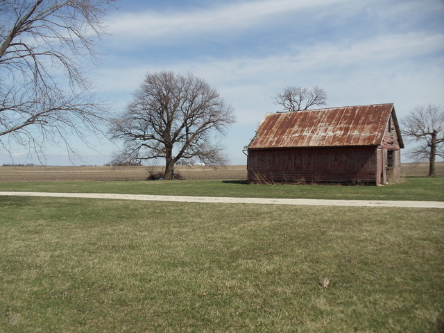 24135 E 2800 North Rd, Dwight, IL 60420 photo 5