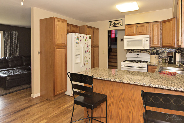 1407 N Park Dr, Round Lake, IL 60073 photo 8