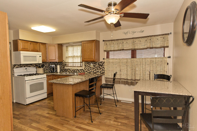 1407 N Park Dr, Round Lake, IL 60073 photo 7