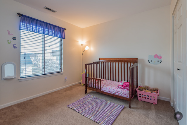 22250 W Natchez Ct, Plainfield, IL 60544 photo 20