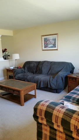 4007 E 2650th Rd, Sheridan, IL 60551 photo 5