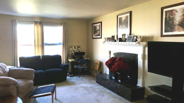 4007 E 2650th Rd, Sheridan, IL 60551 photo 4