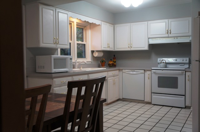 1541 Webster Ln, Des Plaines, IL 60018 photo 10