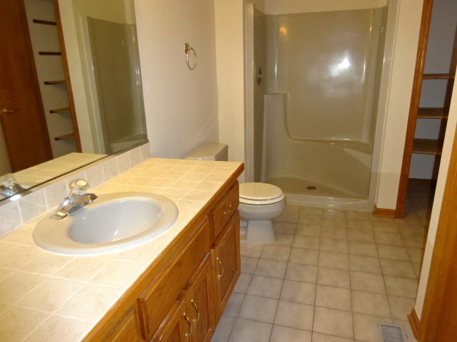 5004 W Herbert Ct, Monee, IL 60449 photo 13
