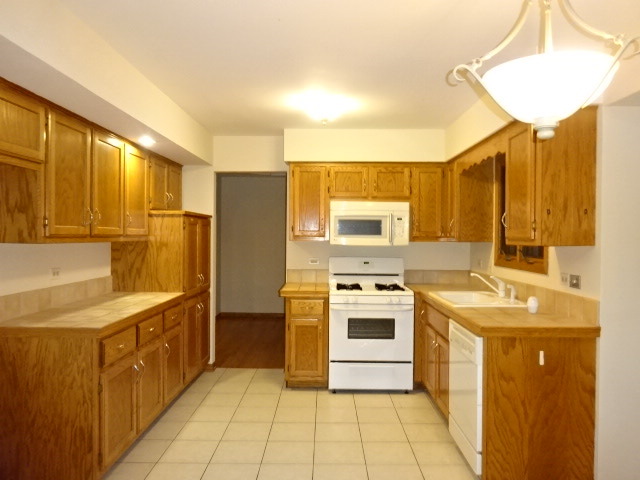 5004 W Herbert Ct, Monee, IL 60449 photo 6