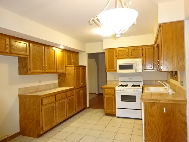 5004 W Herbert Ct, Monee, IL 60449 photo 2
