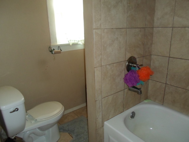 168 Hill Ave, Elgin, IL 60120 photo 20
