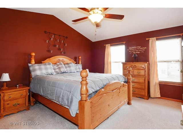 2919 Twin Falls Dr, Plainfield, IL 60586 photo 8