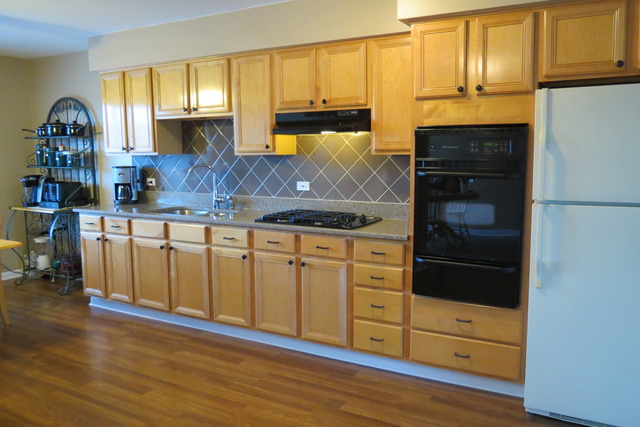4 N220 5th Ave, Addison, IL 60101 photo 6