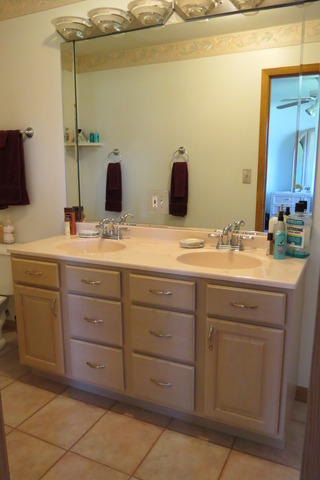 4 N220 5th Ave, Addison, IL 60101 photo 21