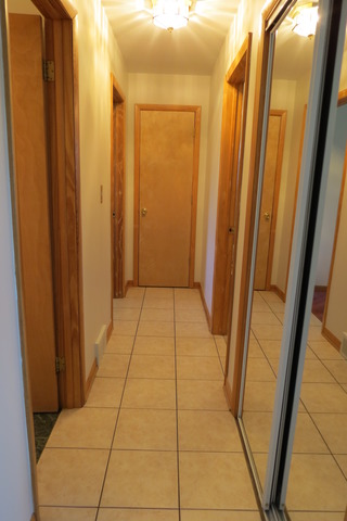 4 N220 5th Ave, Addison, IL 60101 photo 5