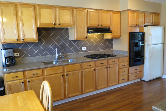 4 N220 5th Ave, Addison, IL 60101 photo 8