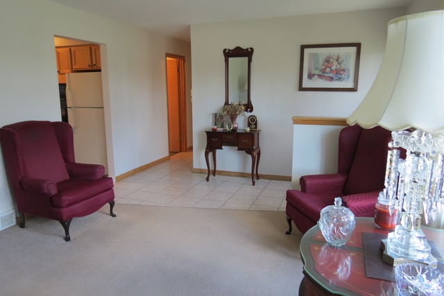 4 N220 5th Ave, Addison, IL 60101 photo 4