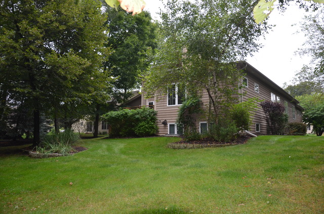 595 Tanglewood Ct, Algonquin, IL 60102 photo 17
