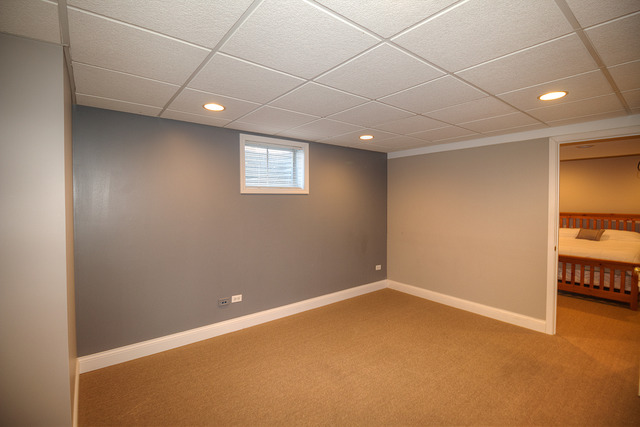 24643 Kingston St, Plainfield, IL 60544 photo 23