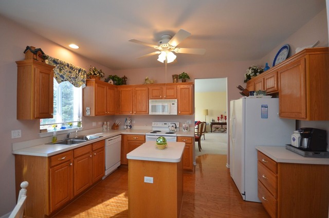 21527 W Empress Ln, Plainfield, IL 60544 photo 4