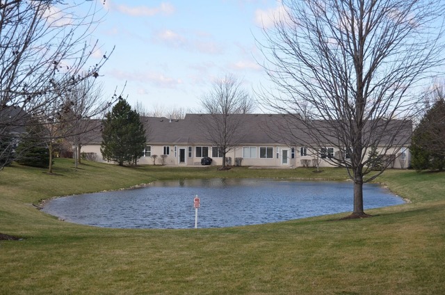 21527 W Empress Ln, Plainfield, IL 60544 photo 3