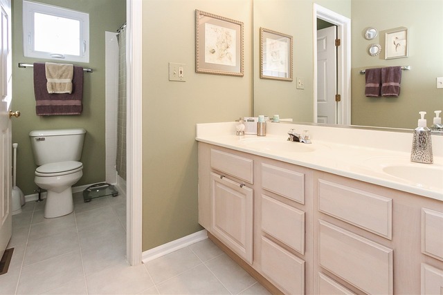 1602 Vineyard Dr, Gurnee, IL 60031 photo 21