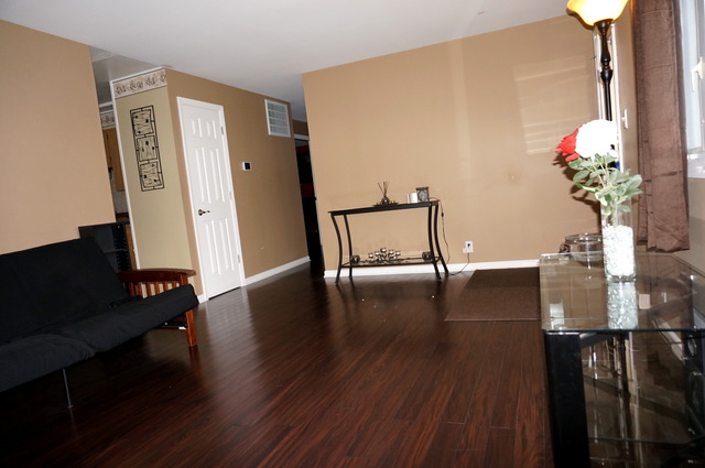 309 Maple Dr, Morris, IL 60450 photo 4