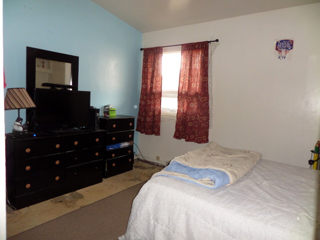 250 N Lind Ave, Hillside, IL 60162 photo 9